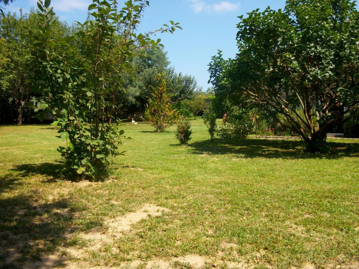 مبيت وإفطار Saint-André-de-Cubzac Domaine De Monein المظهر الخارجي الصورة