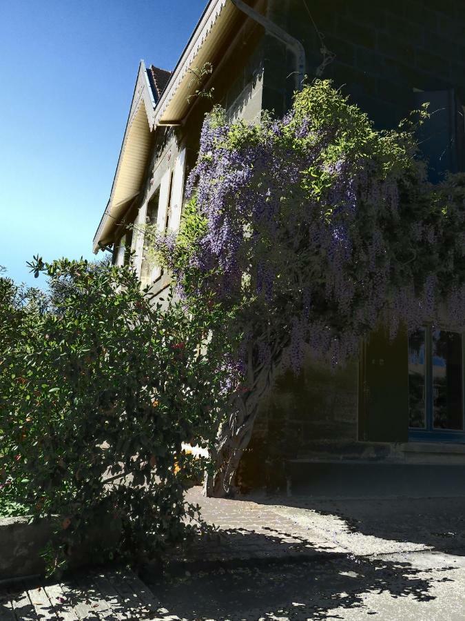 مبيت وإفطار Saint-André-de-Cubzac Domaine De Monein المظهر الخارجي الصورة